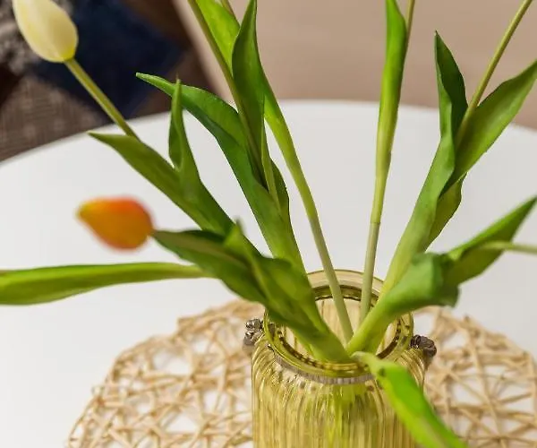 Carolina Lejlighed *